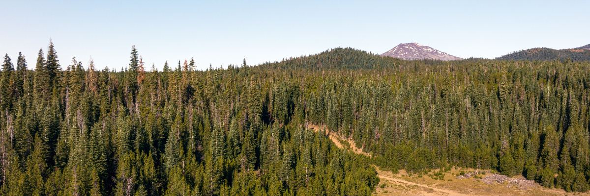 Haulin Aspen trail race banner, Deschutes National Forest